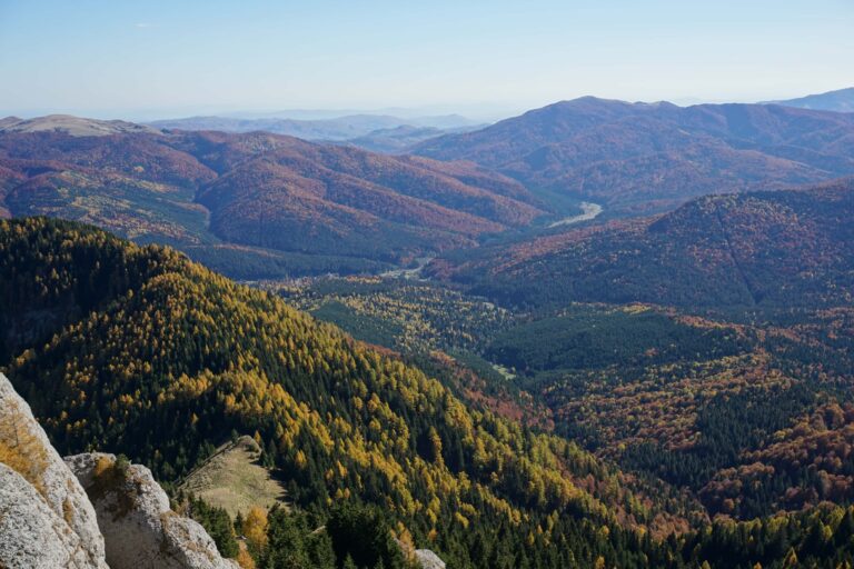 Read more about the article A few reasons why YOU SHOULD NOT MISS the autumn in Romania
