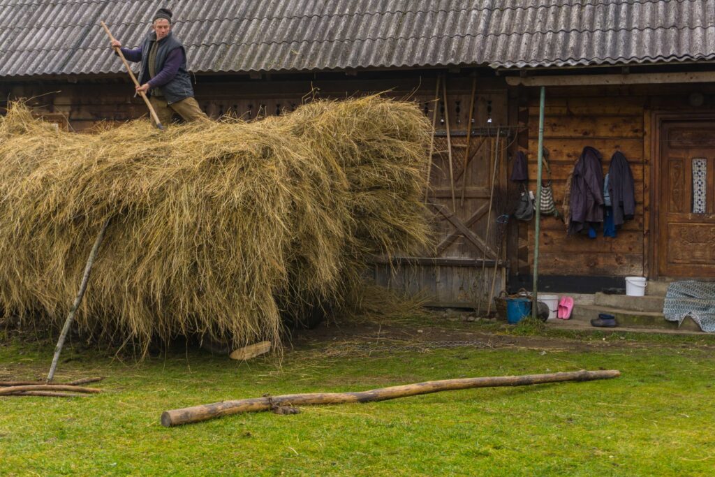 Back to Maramures - a guided tour in Romania