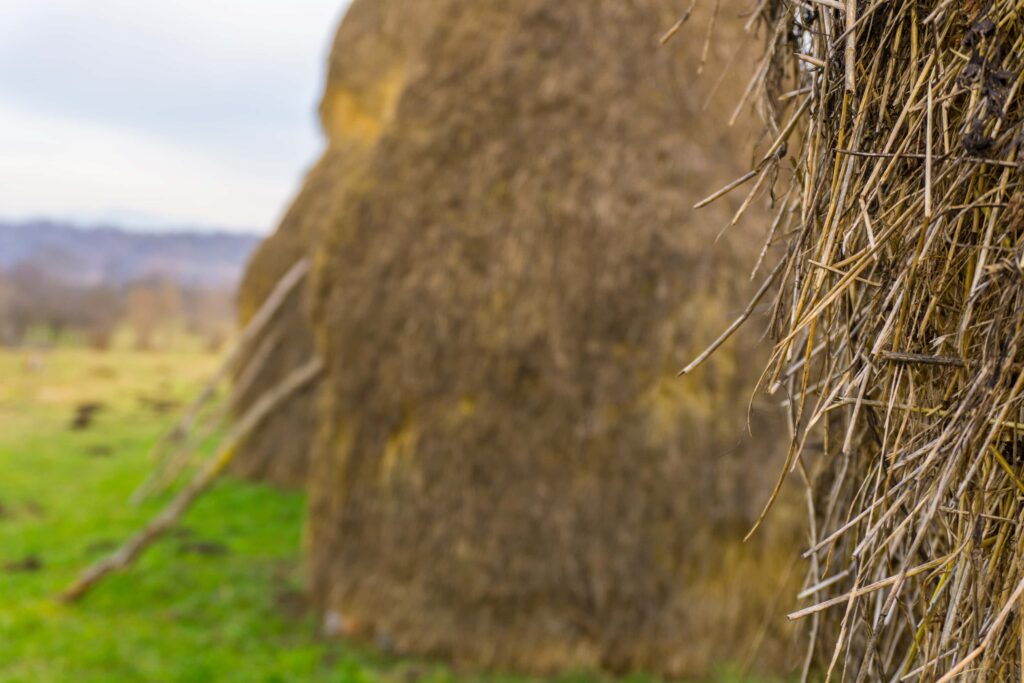 Back to Maramures - a guided tour in Romania