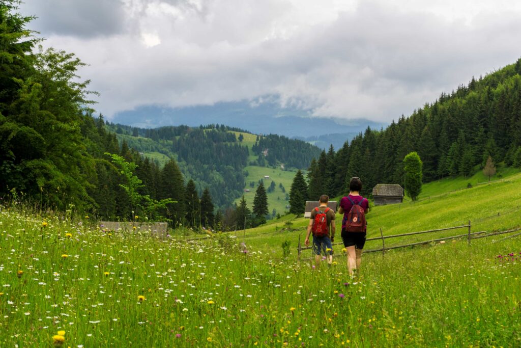 hiking in romania - private guide romania