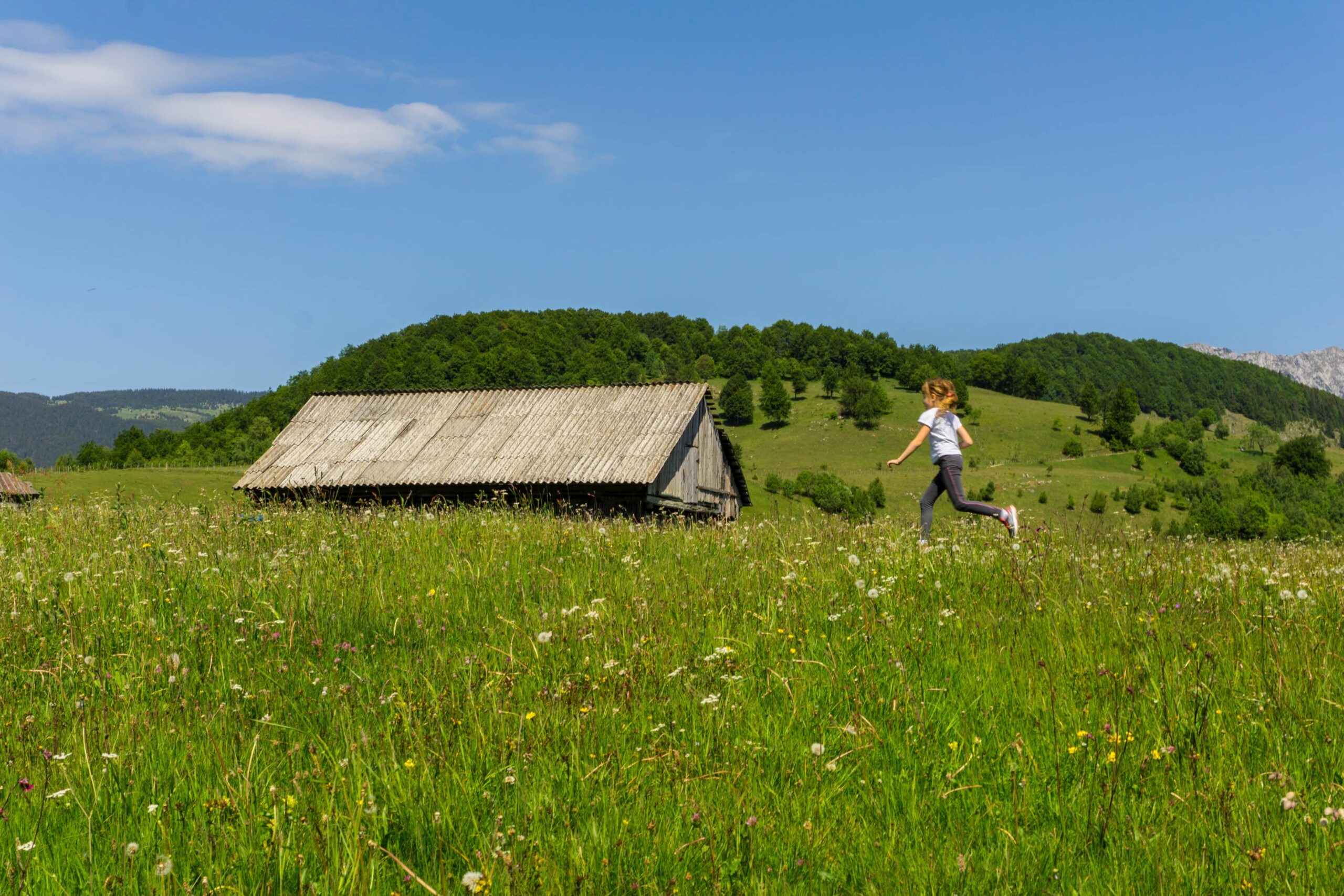 You are currently viewing Traveling with kids in Romania