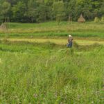 Maramures