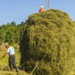 Maramures