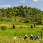 Guided tour Maramures