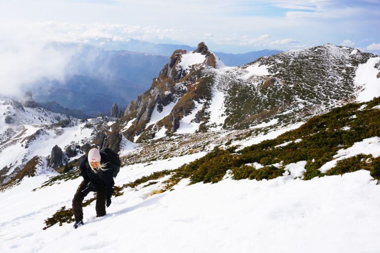 Read more about the article Winter Wonderland in Romania