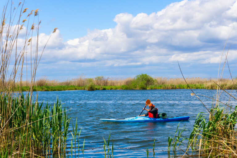 Read more about the article Slow traveling in the Danube Delta