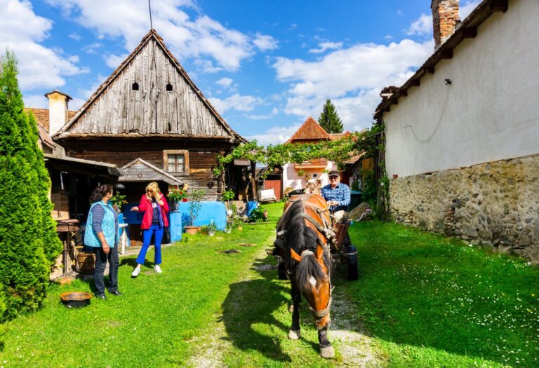 Read more about the article Meet the locals in the countryside near Sibiu