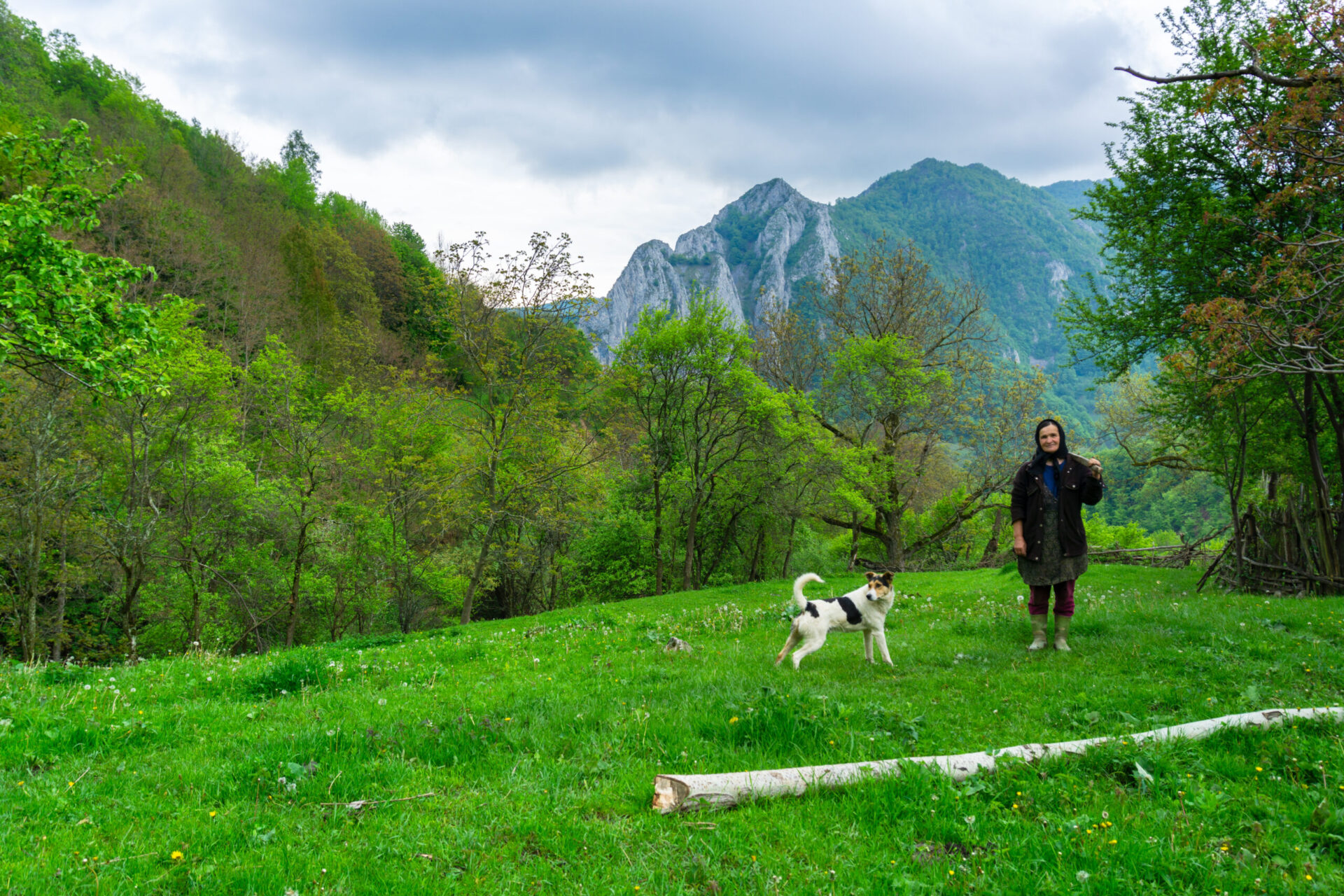 You are currently viewing Painted churches in Bucovina and hiking in Trascau: guided tour – 8 days