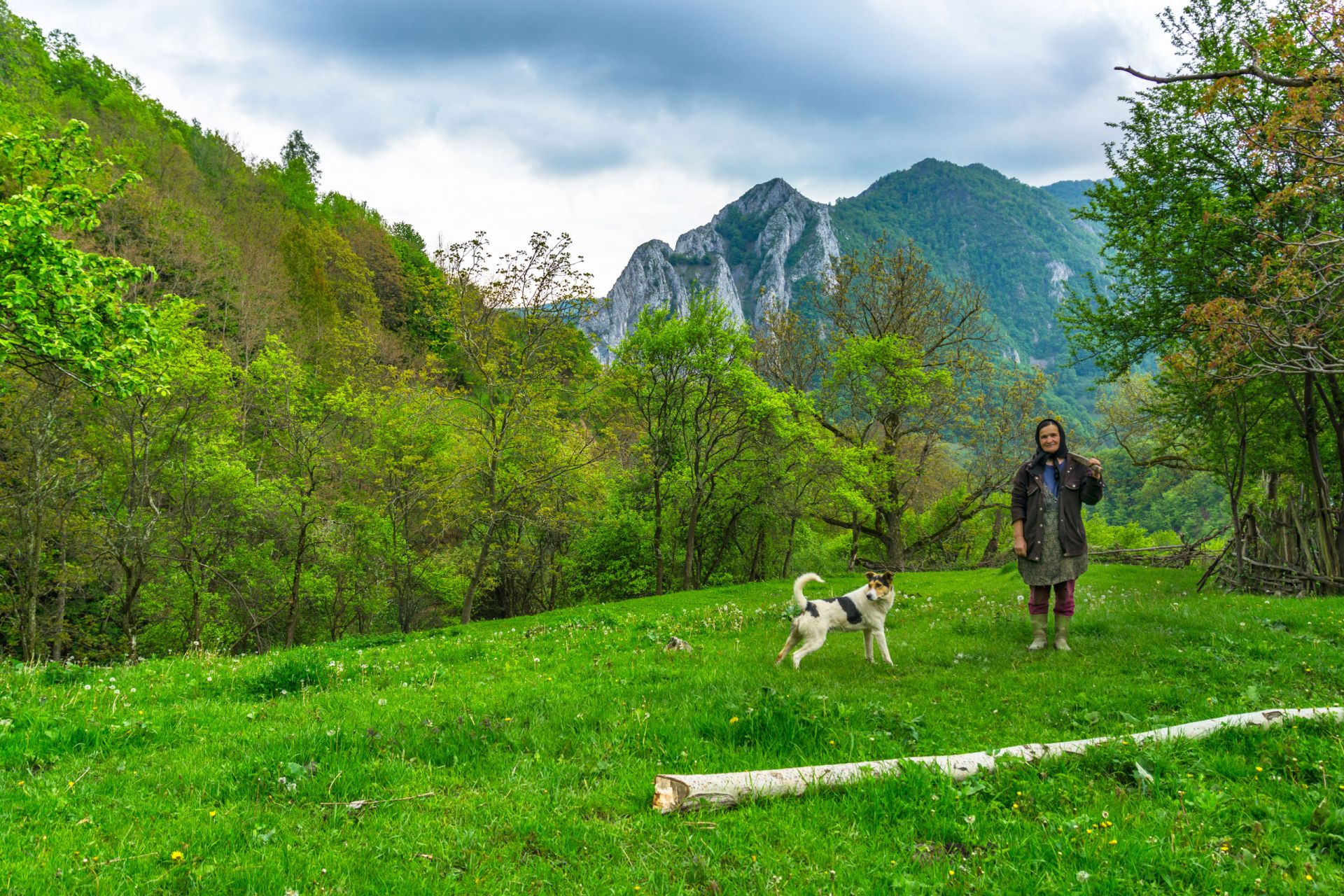 Read more about the article Apuseni Natural Park. Perfect blend of adventure and tradition.