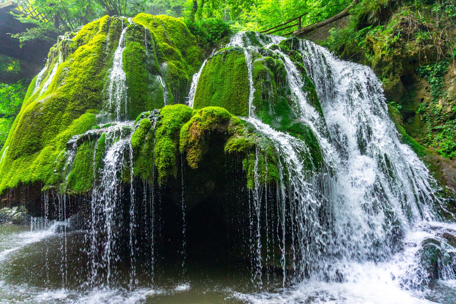 Read more about the article Hidden gems of Romania: Nera Gorge-Beușnița National Park