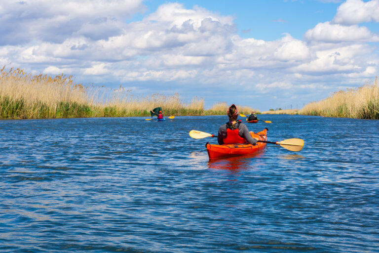 Read more about the article Explore the Danube Delta. You need to put this on your bucket list!