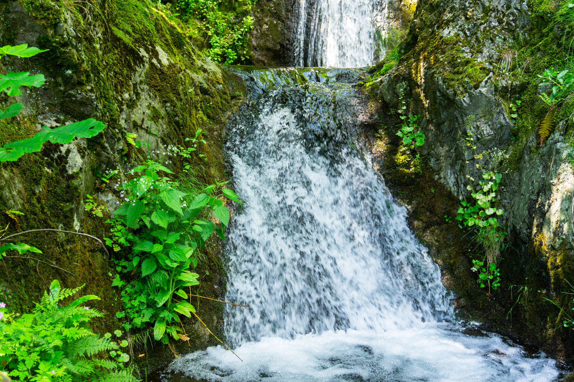 Read more about the article Discover the Romanian Banat. The perfect mix of history, culture and nature.